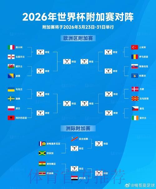 2026年世界杯官方报名渠道与入口地址全攻略