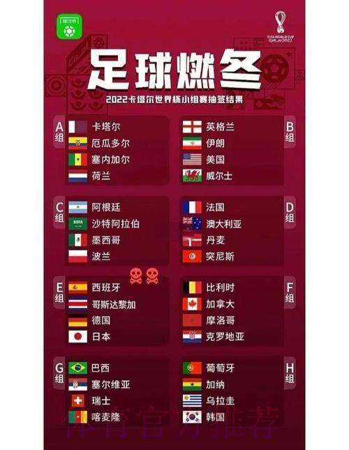 2026世界杯夺冠赔率解析：谁将问鼎大力神杯？